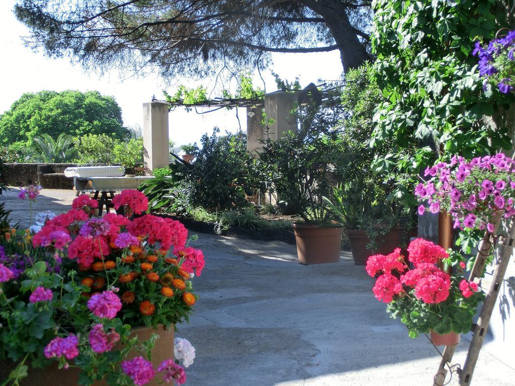 Il Limoneto Acireale Villa Exterior photo